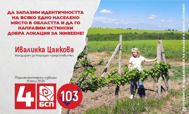 Ивалинка Цанкова: Необходима е нова, актуална държавна политика по отношение на малките населени места