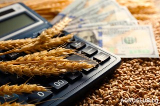 Зърното, зленчуците и млечните продукти понижиха индекса на FAO за втори пореден месец
