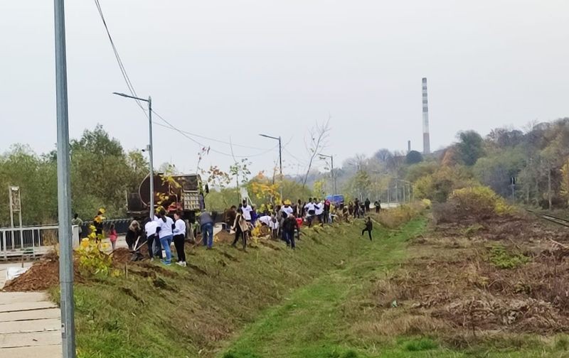 По инициатива на Ротари РУСЕ днес бяха засадени 40 дръвчета на русенския кей
