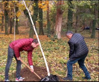   Община Русе припомня на гражданите, че периодът от ноември до февруари е най-благоприятният за засаждане на нови дървета