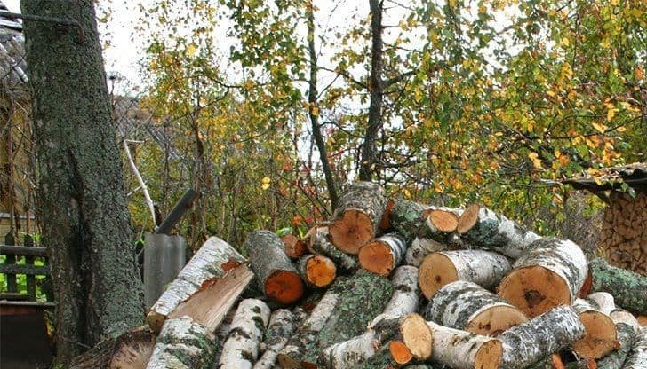 Суха и необработвана дървесина следва да се използва за битово отопление