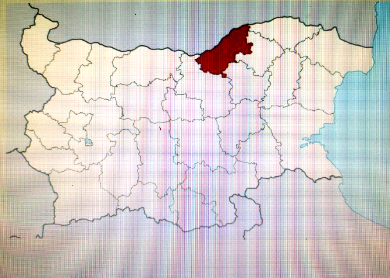 ГЕРБ- СДС са първи в 5 от 8-те общини на област Русе