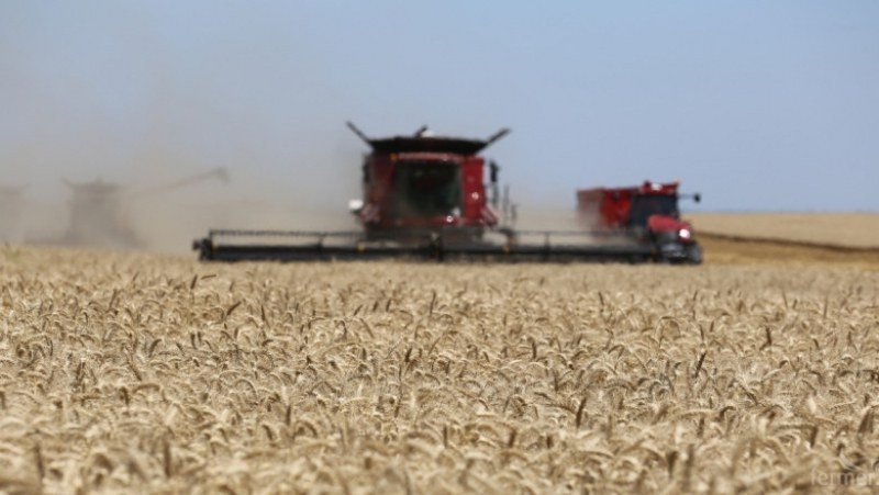 Украинските зърнопроизводители няма да засеят голяма част от земите си
