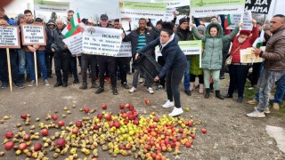 Овощари и зеленчукопроизводители протестираха край ГКПП 