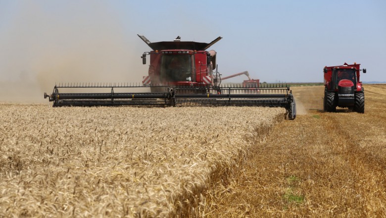 Цените на пшеницата и на царевицата на световните пазари спадат 