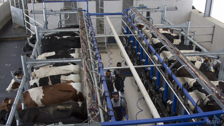 Производството на краве мляко спада сериозно през октомври 