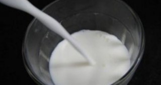 Заради по-висока цена и недостиг на мляко внасяме суровина от чужбина
