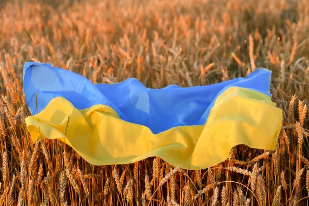 Украинското зърно затруднява фермерите в ЕС