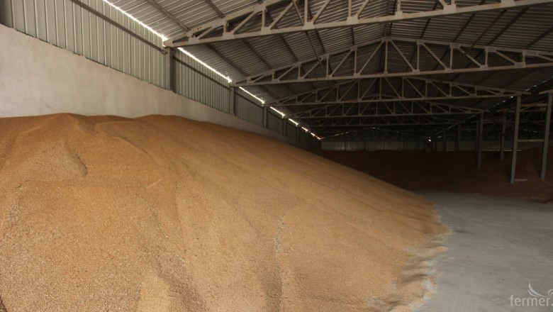 България изостава с експорта на зърно, над 60% от реколтата е по складовете 