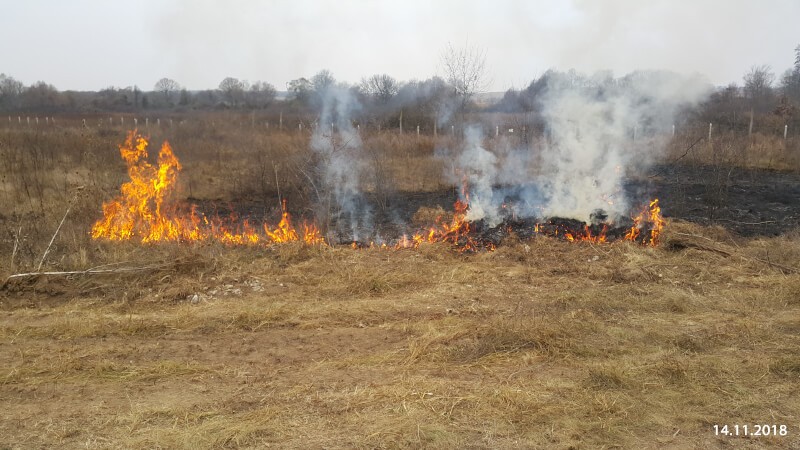 Превенция и предотвратяване на горски пожари в трансграничния регион Русе- Гюргево