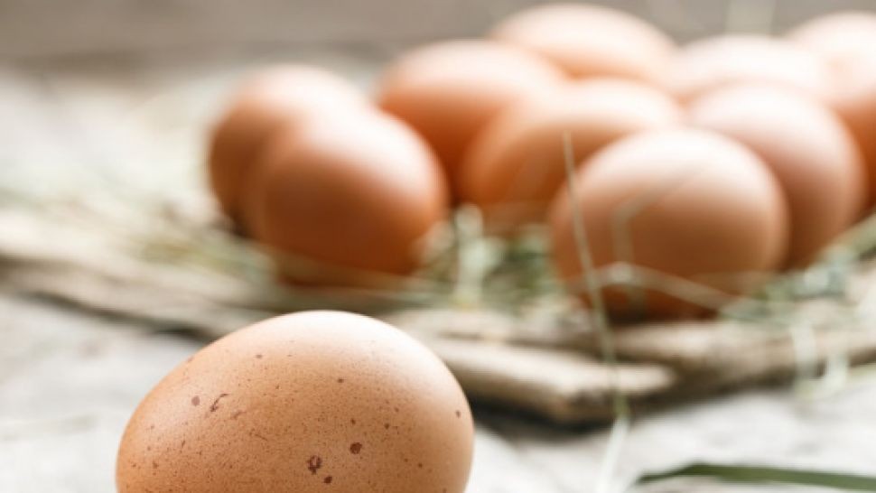 Производители не очакват ново поскъпване на яйцата за Великден 
