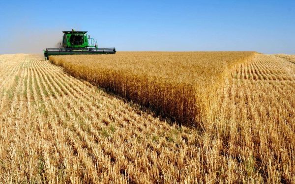 България ще забрани вноса на зърно от Украйна Полша и 
