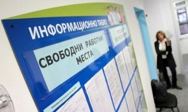 Близо 500 са започналите работа с посредничеството на бюрата по труда през месец март в област Русе 