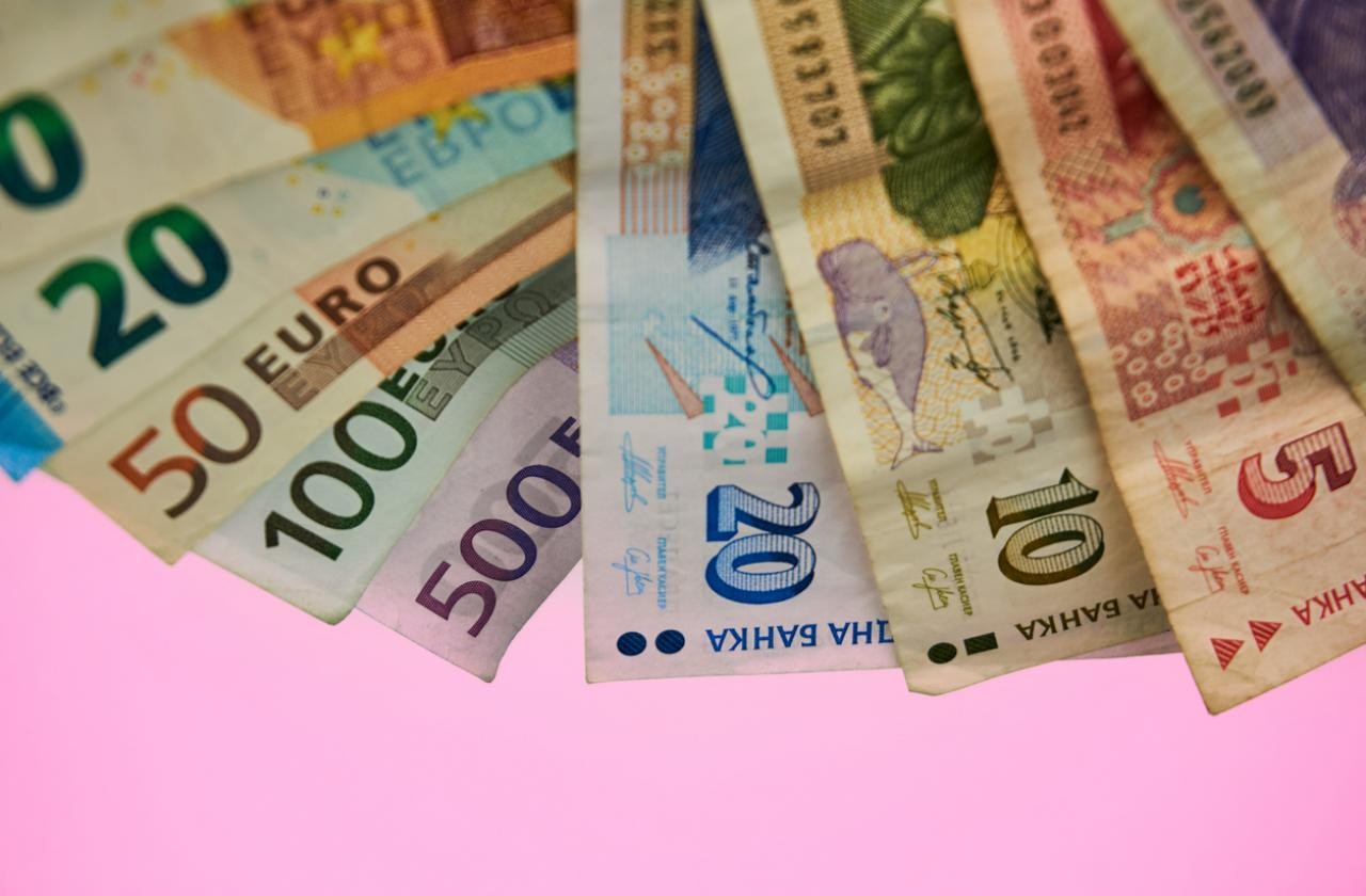 Законът за еврото влиза в Народното събрание до месец 