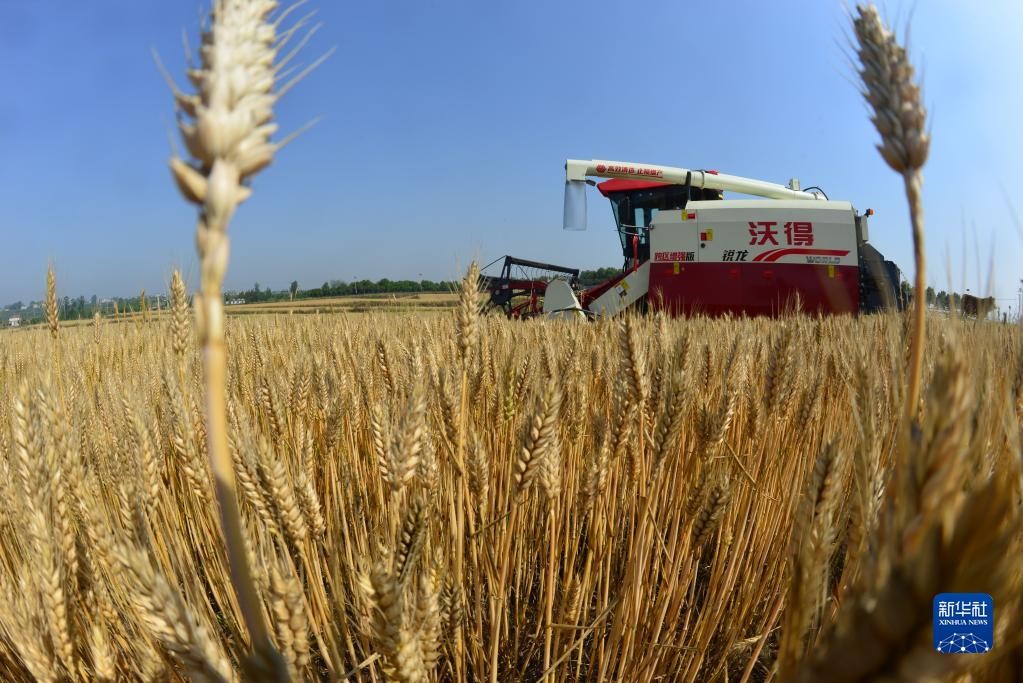 Зърнопроизводители от Източна Европа ще протестират в Брюксел