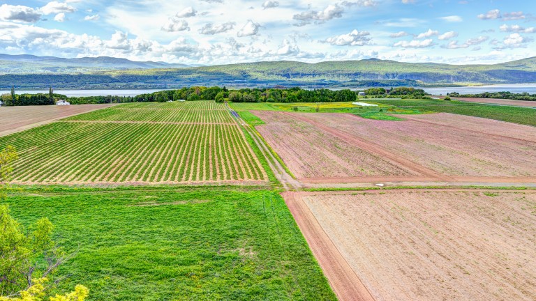    2023- повече засяти площи в Русенско с пшеница и ечемик, по-малко с царевица и слънчоглед