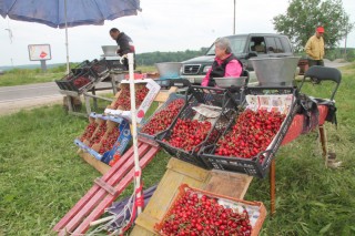    Спад в цената се наблюдава при зеленчуците, с изключение на доматите