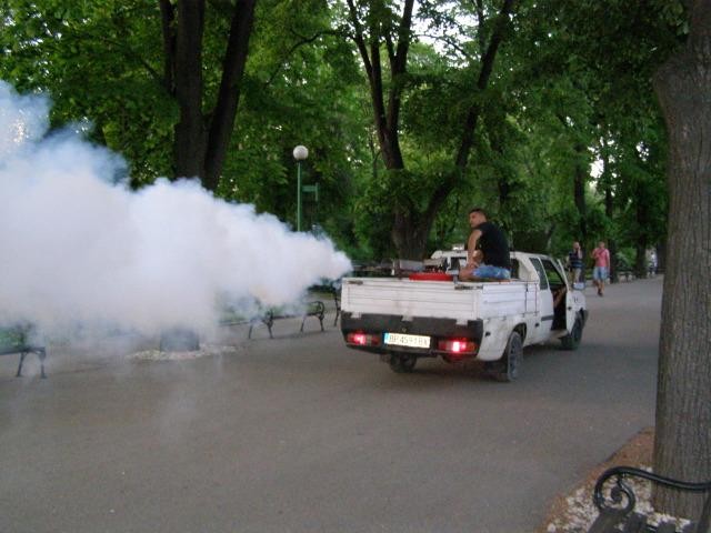 На 12 и 13 юли предстоят нови пръскания срещу комари в Русе и населените места от общината