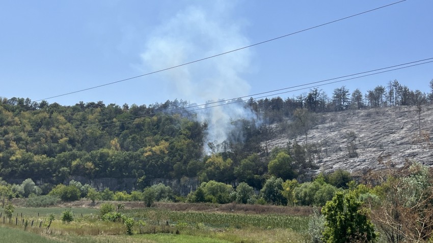 Пожарът край Долапите лумна отново, пожарникарите бързо го изгасиха