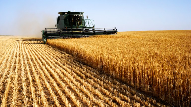 Излизането на Русия от зърнената сделка не се отразява драстично на цените