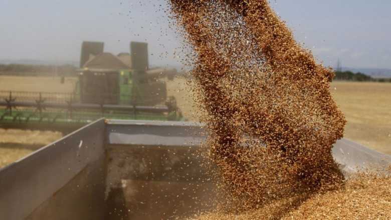 ЕС търси възможности за превоз на повече украинско зърно със сухопътен транспорт