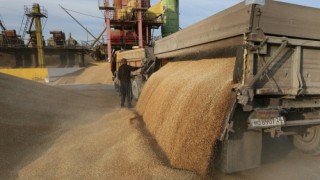    Русия и Украйна представляват около 30% от световните доставки на пшеница.