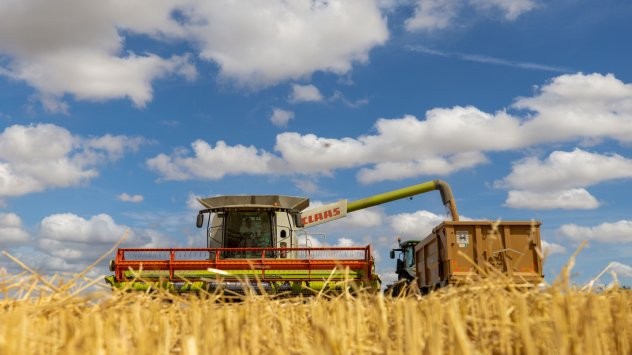 Пшеницата поскъпва по световните пазари