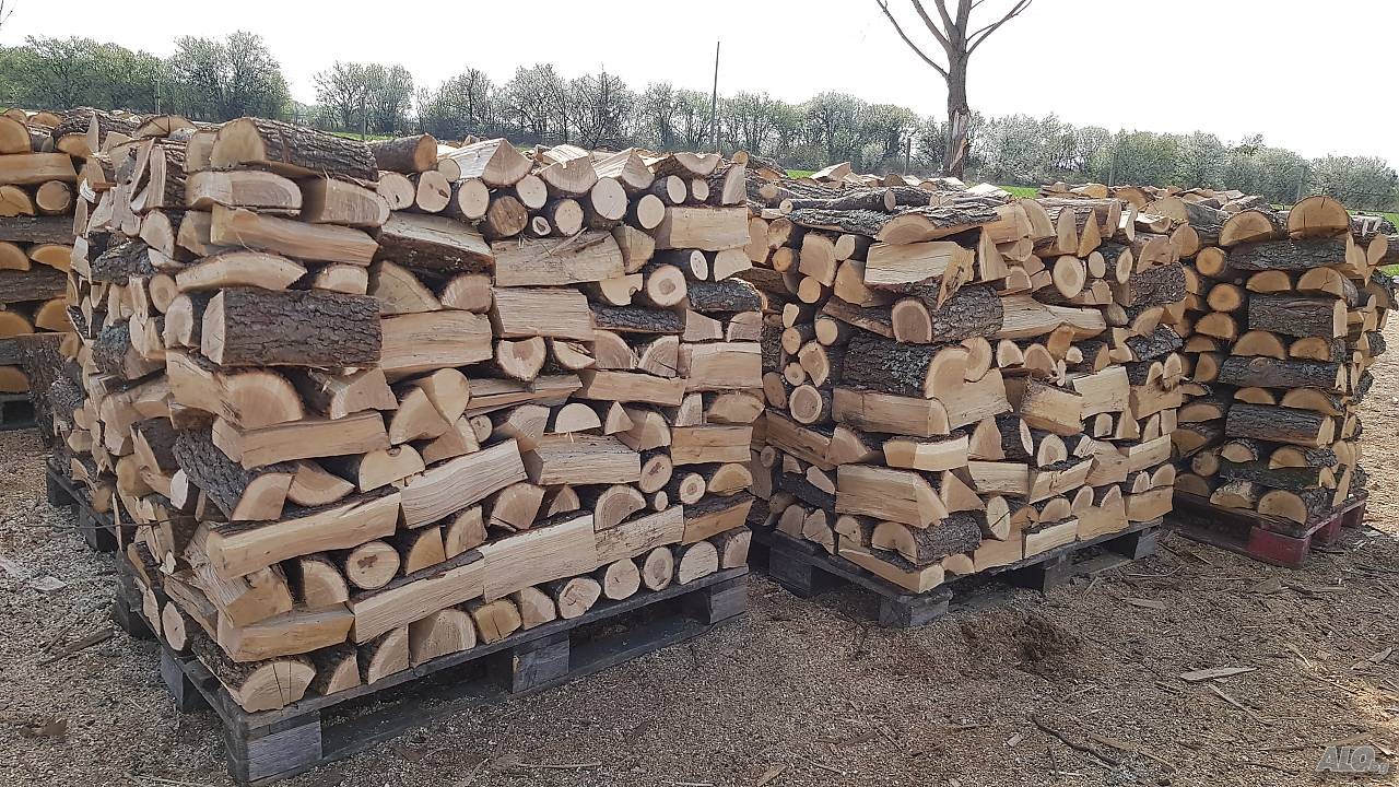 71 000 кубика дърва за огрев на населението са предоставили стопанствата от СЦДП