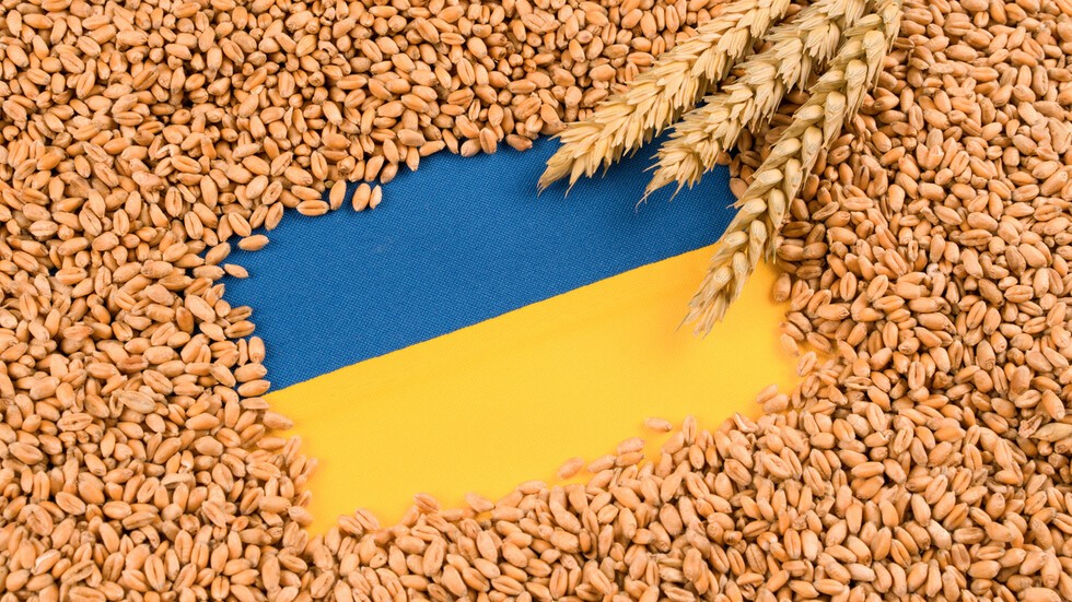 Заради зърното: Полша обяви, че вече няма да доставя оръжия на Украйна
