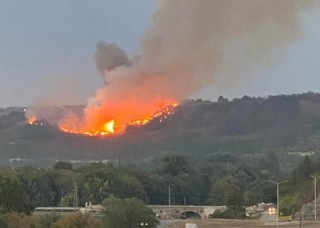 Над 130 дка гора са засегнати от пожара, допълнителен оглед днес ще покаже причините за огнената стихия