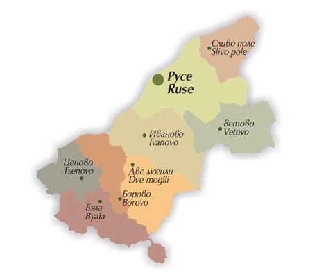 Петима са кметове на общини в област Русе от първи тур
