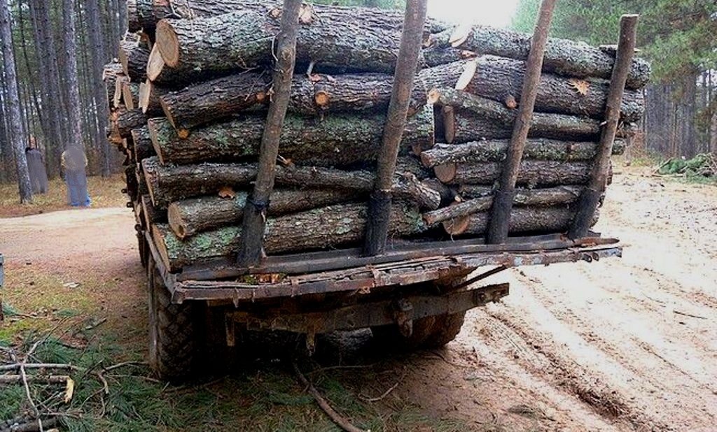 При акции на служители от РУ - Бяла и РУ - Ветово са установени 5 случая на незаконен превоз и съхранение на дървесина