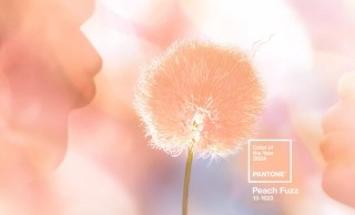 Експертите от Pantone Color Institute определиха цвета Peach Fuzz, който ще дава новите хоризонти на модния бизнес.