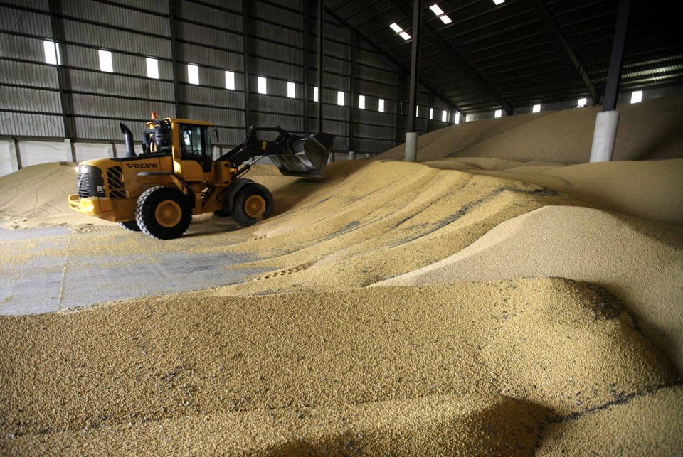 Над 6.5 милиона тона е произведената пшеница тази година 