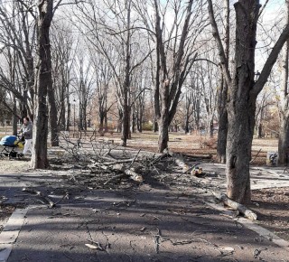    Към 16 ч. са получени сигнали за паднали клони и дървета по улици на територията на града, както и паднали ламарини от жилищни сгради
