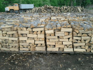 200 000 пространствени кубически метра дърва за огрев са предоставили през 2023 г. стопанствата от системата на Североизточното държавно предприятие на населението 