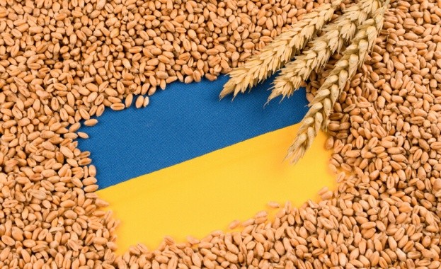 България, Унгария, Полша и Румъния поискаха мито върху вноса на украинско зърно 