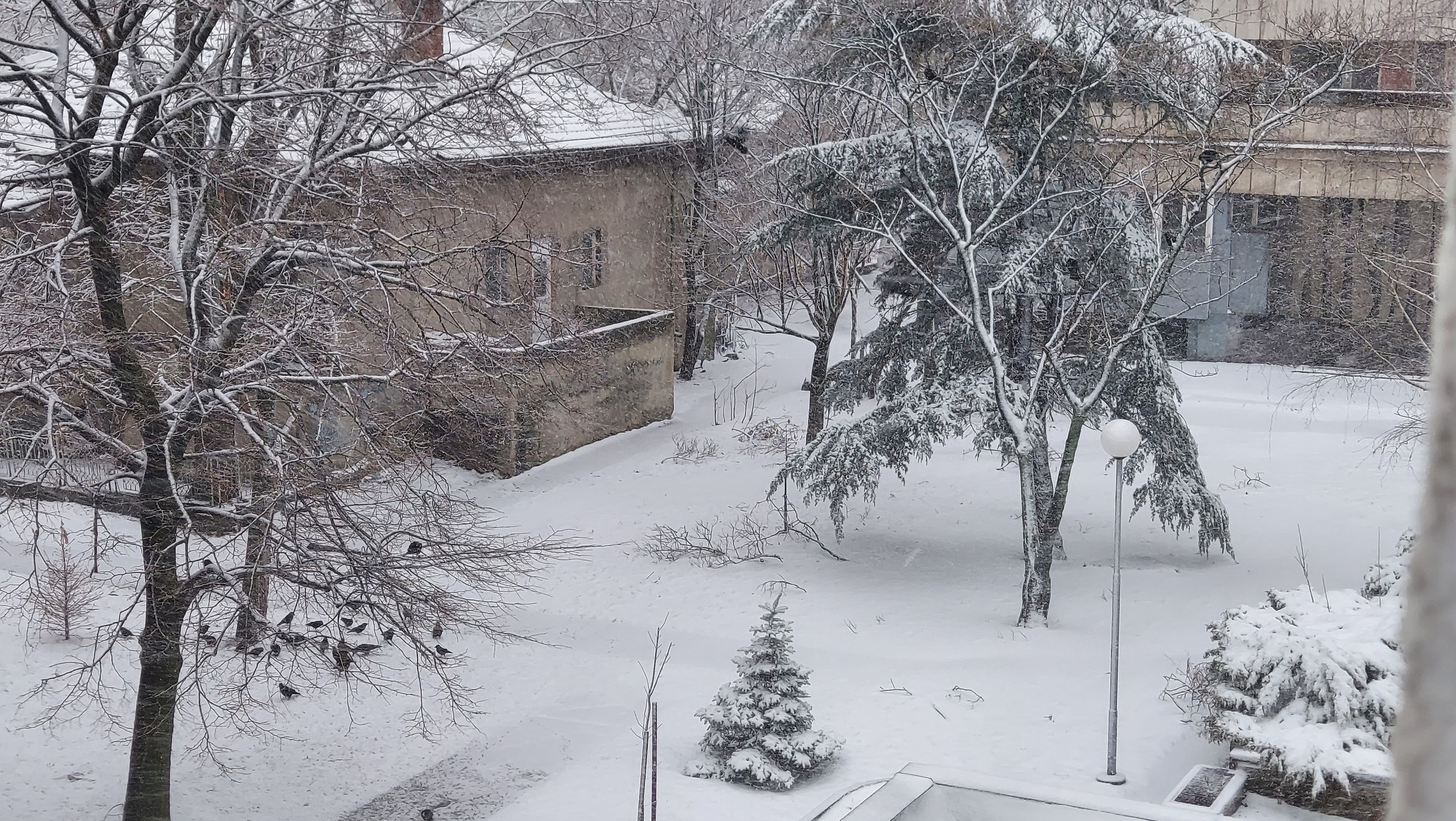 Сняг до 10 см. в Русе, валежът спира още днес