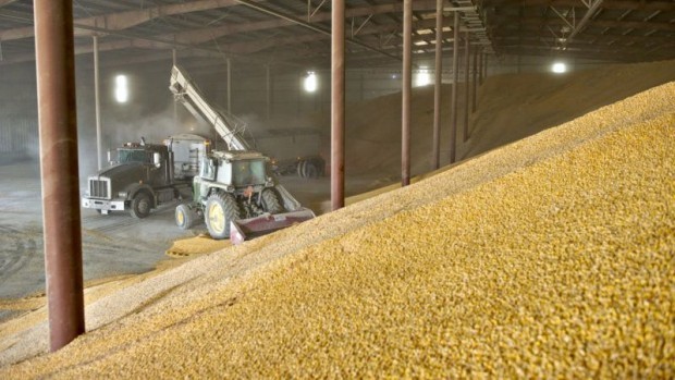 Цените на пшеницата и царевицата на международните пазари тръгнаха нагоре