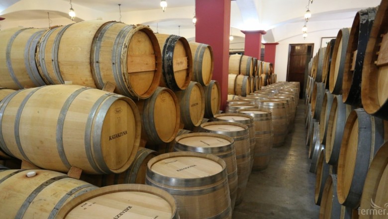  Мускат Отонел и мерло са сортовете-първенци, от които се произвежда вино