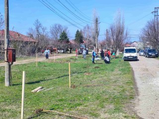 Момците и местни ловци  засадиха лично 140 дръвчета в 4 парка на селото