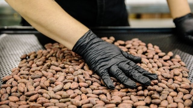 Какаото поскъпна до $10 000 за тон, производителите на шоколад вдигат цените за Великден 