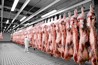 По предварителни на земеделското министерство данни, през 2023 г. в кланиците в страната са добити 78,6 хил. тона свинско месо или с 4,2% по-малко на годишна база