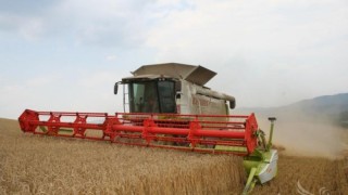 Към 14 юни т.г. средната изкупна цена на пшеницата е била 361,00 лв./тон, при средна цена от 385,00 лв./тон за предходната седмица