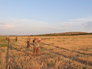 Тази година ловният сезон за пъдпъдъци, гургулици, гривяк, горски бекас, обикновена бекасина и друг пернат и дребен дивеч започва на 10-ти август