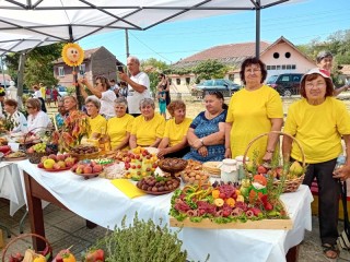 На участниците в различните конкурси бяха раздадени награди