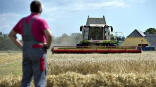 Въпреки че България е сред лидерите в производството на зърнени храни в Европейския съюз, данните на Евростат за миналата година показват резки спадове по почти всички икономически показатели на селското ни стопанство 