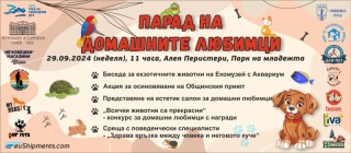  Като най-разпространен домашен любимец кучетата ще получат най-голямо внимание