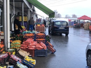  При плодовете най-голям спад в цената се наблюдава при мандарините